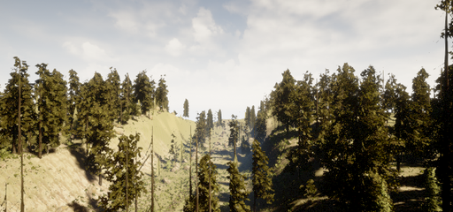 Forest Map02 的 UE4/AirSim 场景